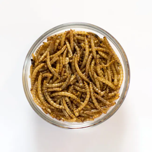 100% All Natural Meal Worms for Your Pets’ Well-being - Image 3