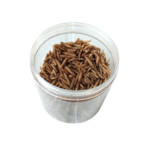 Dpat Dried Black Soldier Fly Larvae