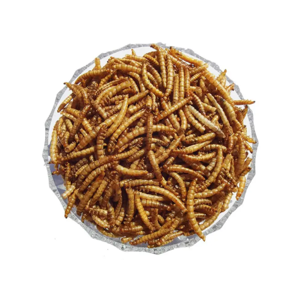 DpatQueen Bird Dried Mealworm Topping - Image 3