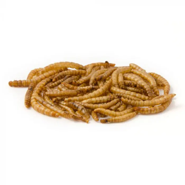 DpatQueen Bird Dried Mealworm Topping - Image 4