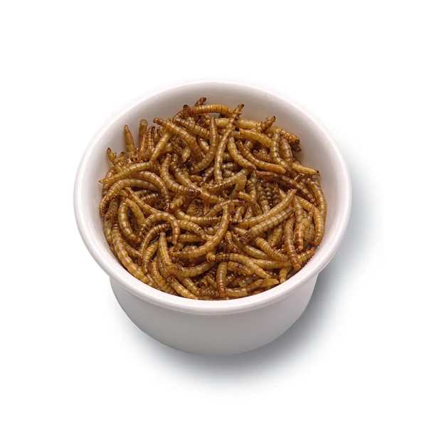 Nutrient and convenient insect protein for dry yellow mealworms - Image 3