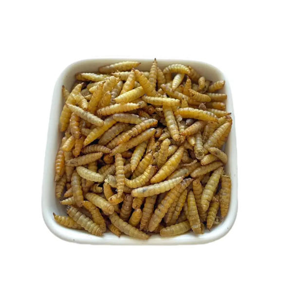 Protein rich animal feed, dry black soldier fly - Image 3