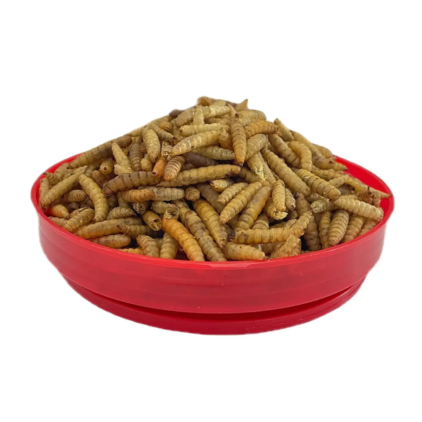 Dried Black Soldier Fly Larvae