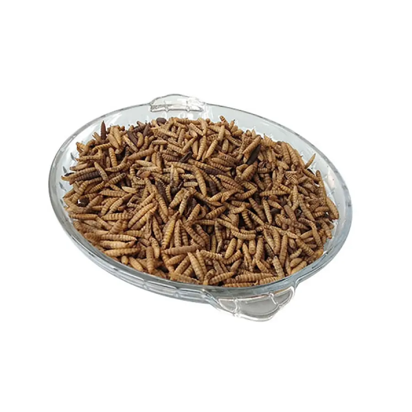 Dried Black Soldier Fly Larvae - Image 3